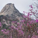 인수 거룡,마이러브린다,미련,하늘2피,청맥,여정@봉마니대장님 이미지