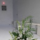 둔산중로-41 네이버블로그