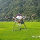 노동면(보성) 이미지