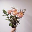 2362 | 꽃 정기구독 추천 , 어니스트 플라워 후기 💐 (초대코드 : 프릴튤립2362)