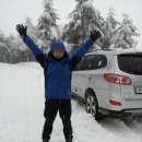 애견종합병원 이미지