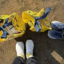 부산 | 2025 미니언즈 런 부산 후기