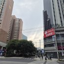 구청 광장 대로변 이미지