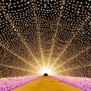 국립아시아문화전당 관광안내소 이미지