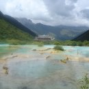 신 황룡 이미지