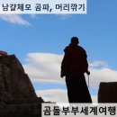 KY 헤어 이미지