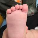 차문화센터2 | 하남 이마트 문화센터 소풍 가는 하마(2회차) 수업 후기