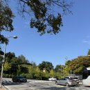 밀알약국 이미지