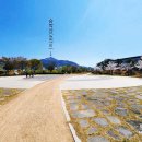 을숙도 리틀야구장 이미지