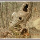 호명호수(정상) 이미지