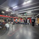 홍수환EJ복싱체육관 | 서울 선릉역 5분거리 홍수환 스타 복싱체육관 강남점 솔직 후기