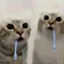 몽마루
