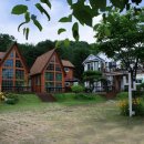 숲속의 예쁜펜션 네이버블로그
