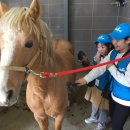 경기도축산진흥센터 이미지