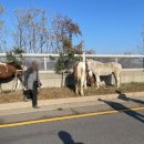 활보농장 이미지