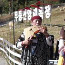 무등산양떼목장 이미지