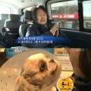 김순복 농장 이미지