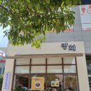 피망 | 남악 맛집 망치돈까스 피망이 잘 어울리는 내돈내산 후기