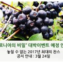 엠엠에프