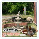 36 | 애견동반 성주 카페 포레스트36 방문후기