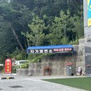 정담얼크니샤브칼국수