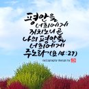 평안을 끼치노니 이미지