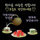 "체중'말고 '체온'을 재야함" 이미지