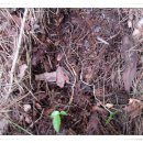 한서농장 이미지