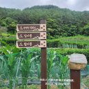＜일월산＞- korea-200名山-130회- 경북-영양군 '진산+영산' 月字峰~日月山~일월지맥 탐사 story-01, 이미지