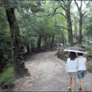 지은민박 이미지