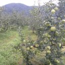 병규농장 이미지