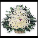 송현초교 이미지