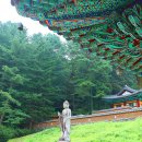 2023.08.20 한방바이오박람회 홍보(원주 복숭아축제장 및 구룡사).2 이미지