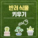 반려식물키우기 이미지