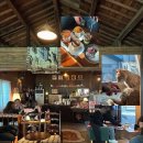 앞산공원관리소 내 | 대구 앞산 고양이가 반겨주는 카페 대구 길로이 방문 후기