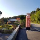 파주 힐링이 되는 정원 있는 카페 아르티스타 ♪