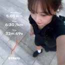 살로몬 러닝조끼 액티브 스킨 8L 크로켓 내돈내산 후기