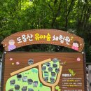 도음산 유아숲체험원 이미지