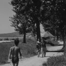 경성농장 이미지