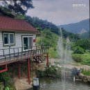 샘물하얀집