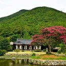 진도 운림산방 네이버블로그