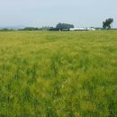 청대농장 이미지