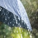 드리즐링(Drizzling)