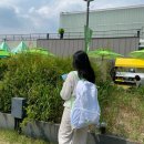 올리브영 페스타 2025 노들섬 꿀팁 본품주는곳 공유, 보조배터리 대여