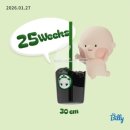 제기27 | 임신 25 26 27 28주차 증상, 임당검사, 정밀입체초음파, 아기 내려와있음 (산전복대 처방)