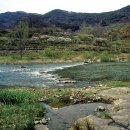 강림면343 이미지