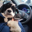 행복 나루터1 이미지