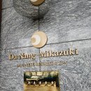 드래곤게임장 | 다낭 여행 비올때 가볼만한곳 미카즈키 워터파크 온천 :: 내돈내산 추천