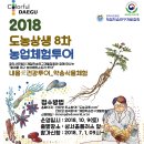 체리투어 이미지
