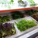 경주현곡우렁이쌈 이미지